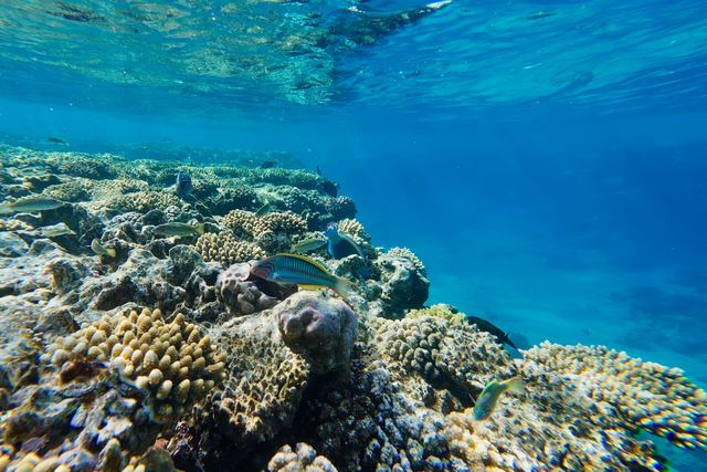 Cairns