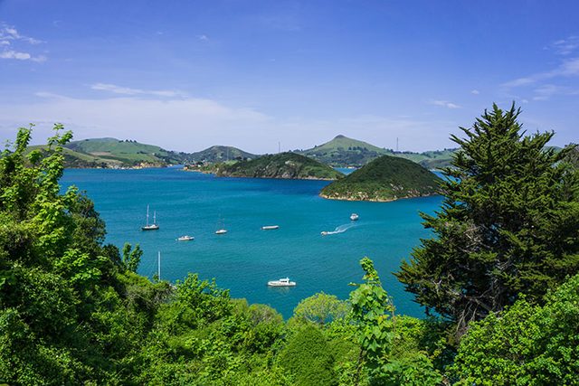 Port Chalmers