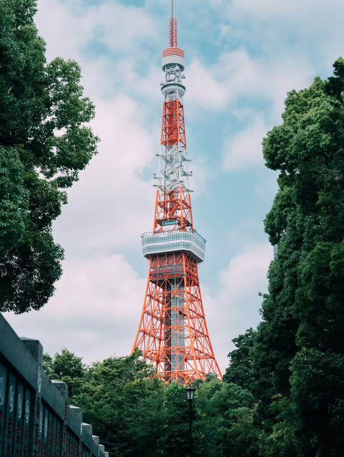 Tokyo Tower seen through trees