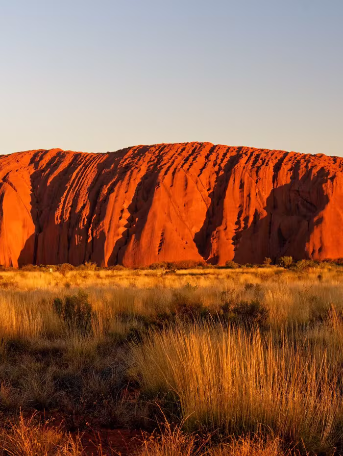Uluru glowing deep red at sunset above open spinifex grassland